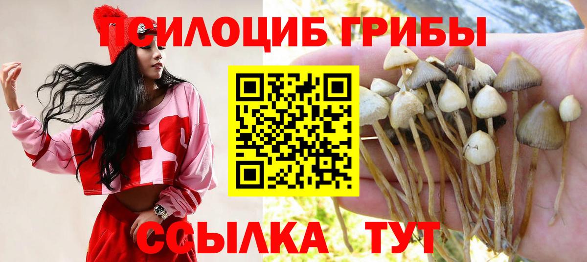 Галлюциногенные грибы прущие грибы Гатчина