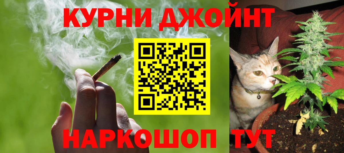 Бошки Шишки семена  МАРИХУАНА гибрид  Каннабис гибрид  Вход с VPN  Гатчина  Конопля Amnesia 